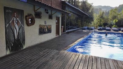 A sunny outdoor pool area surrounded by lush greenery, featuring lounge chairs and a person swimming. The pool is bordered by a wooden deck, leading to a wall adorned with various decorations, including a large art poster.