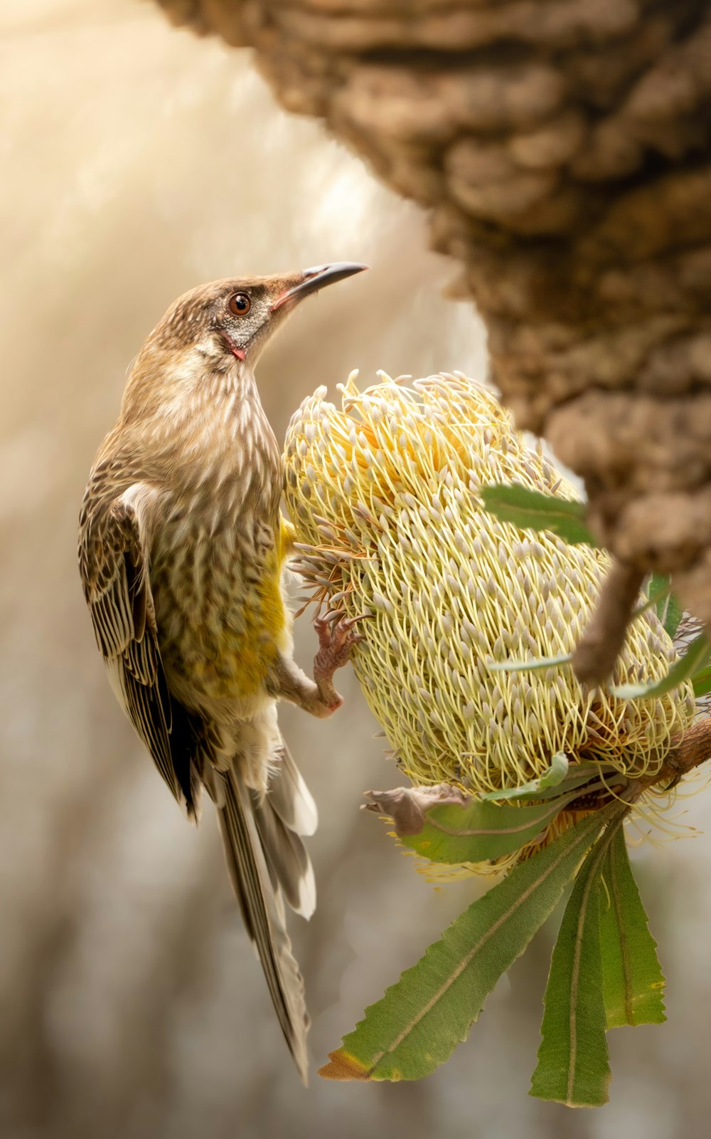 a bird sitting on a tree branch next to a flower