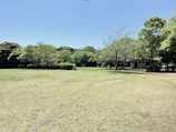 Wide open field with a small lake and trees, perfect for outdoor gatherings.