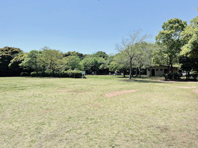Wide open field with a small lake and trees, perfect for outdoor gatherings.