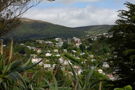 A scenic hillside neighborhood with numerous houses nestled among lush greenery and trees. The landscape features rolling hills in the background under a partly cloudy sky, offering a serene and peaceful atmosphere.