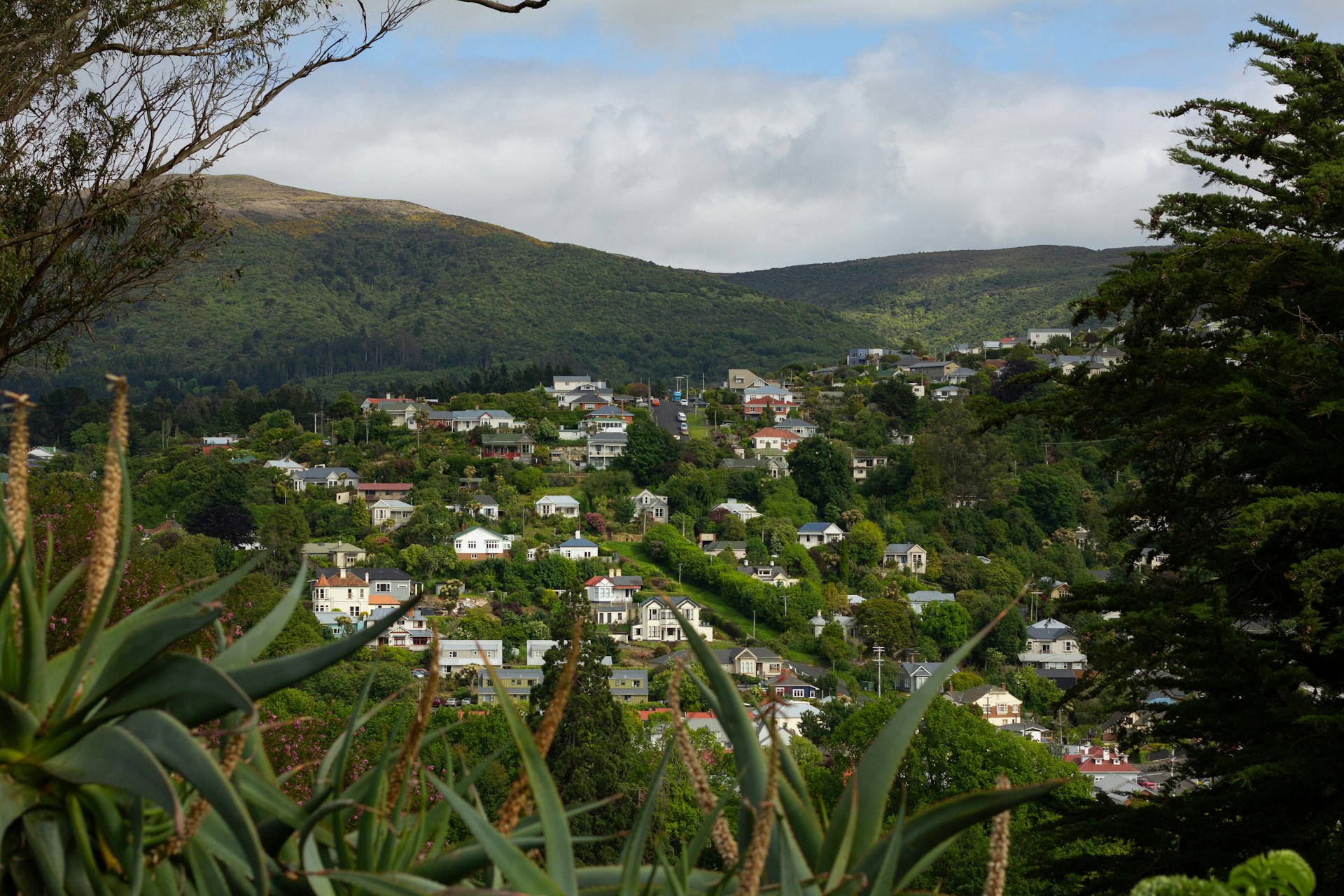 woman wearing yellow long-sleeved dress under white clouds and blue sky during daytime