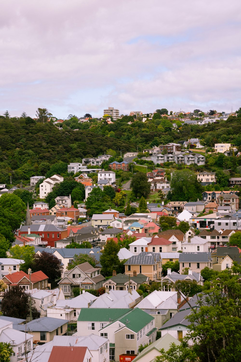 uma vista de uma cidade com muitas casas