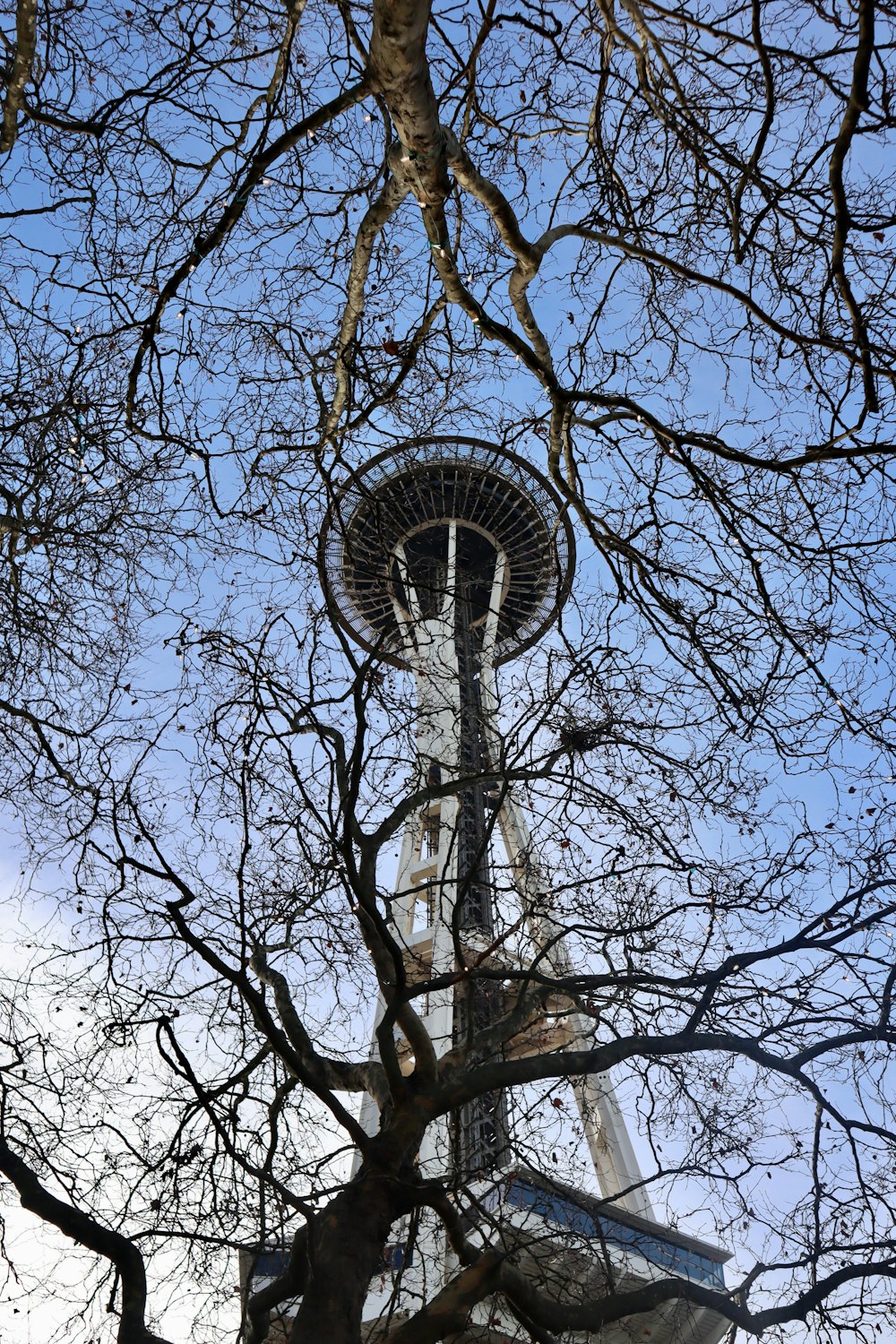 a very tall tower towering over a tree filled forest
