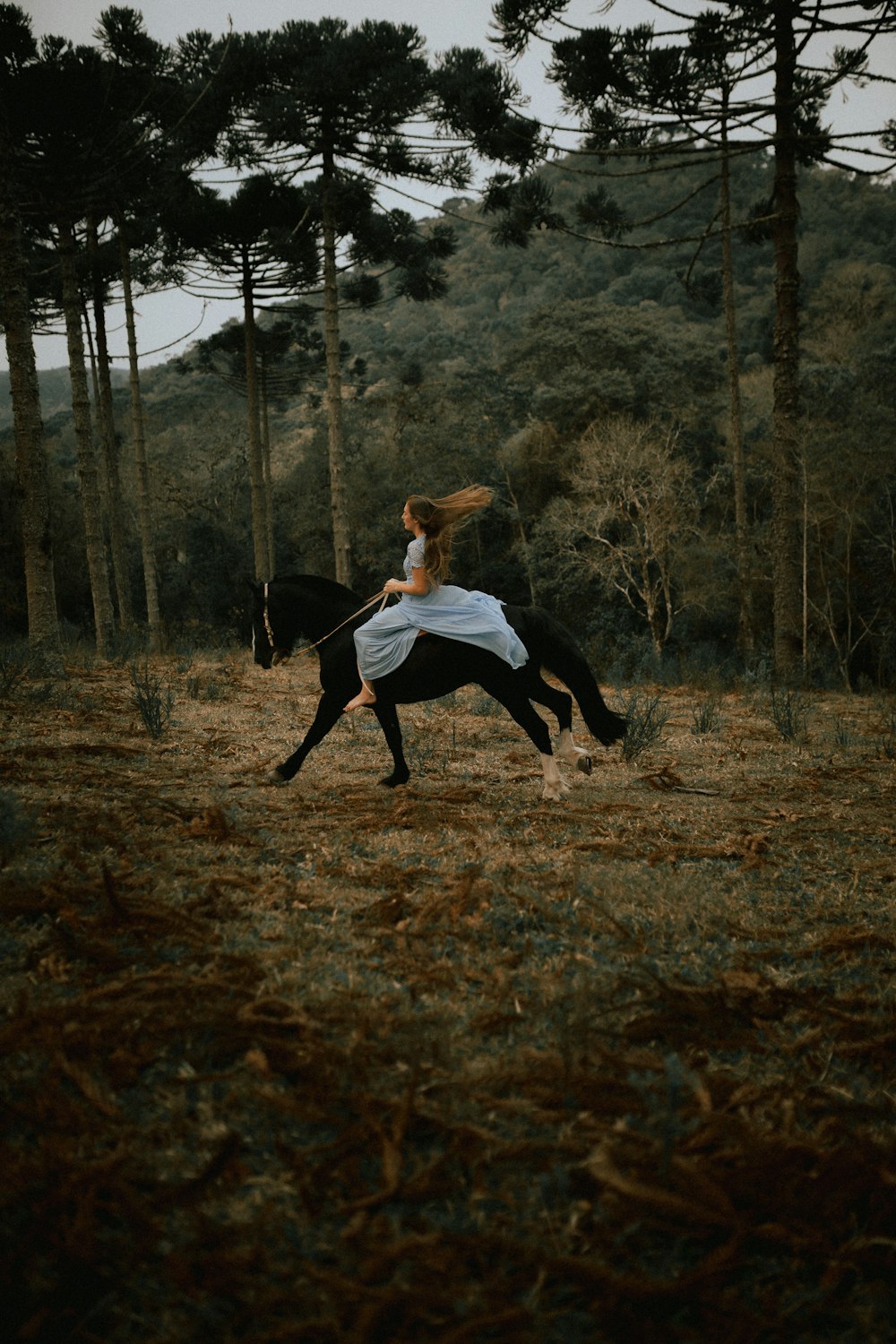 a woman riding on the back of a black horse