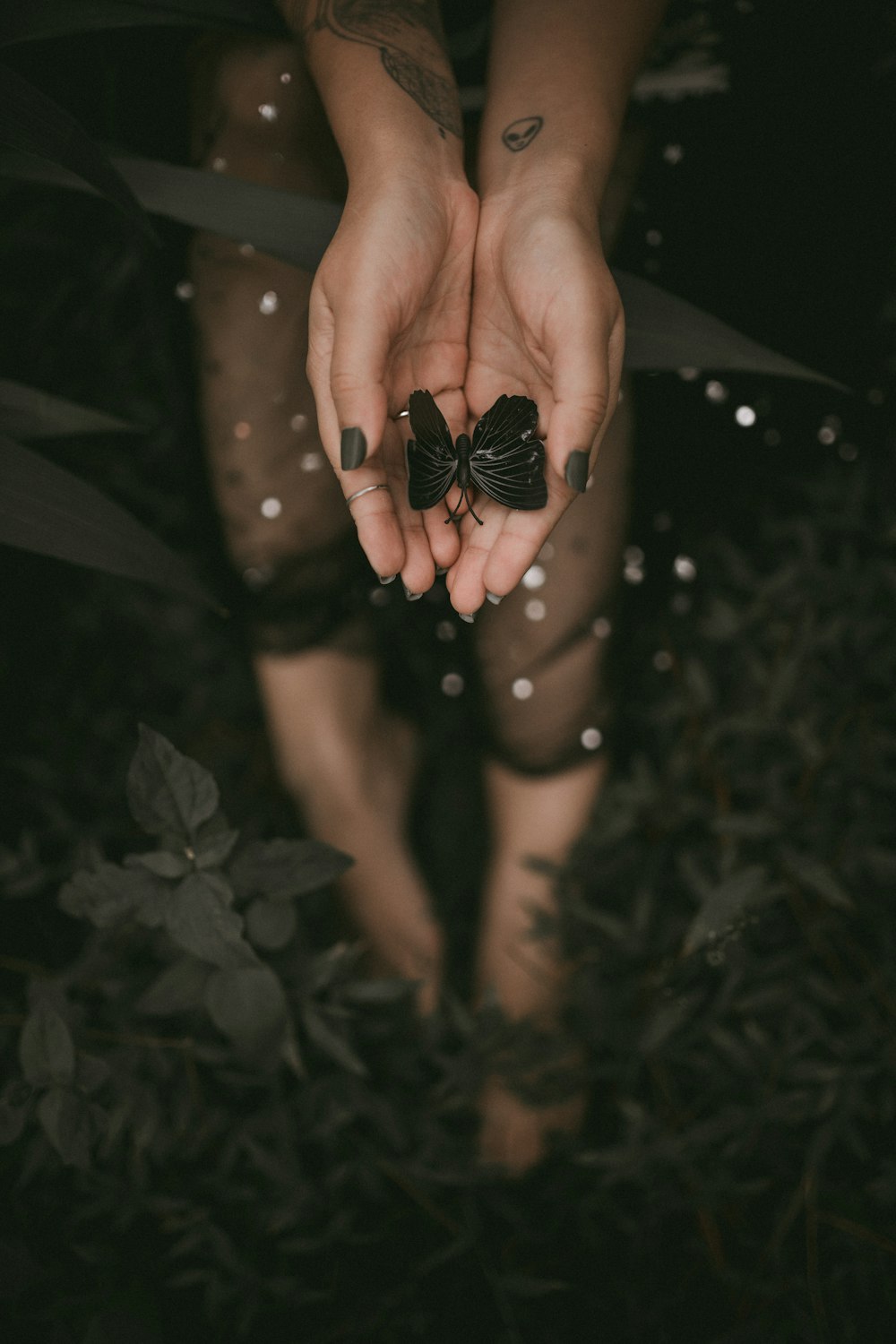 a person holding a spider in their hands