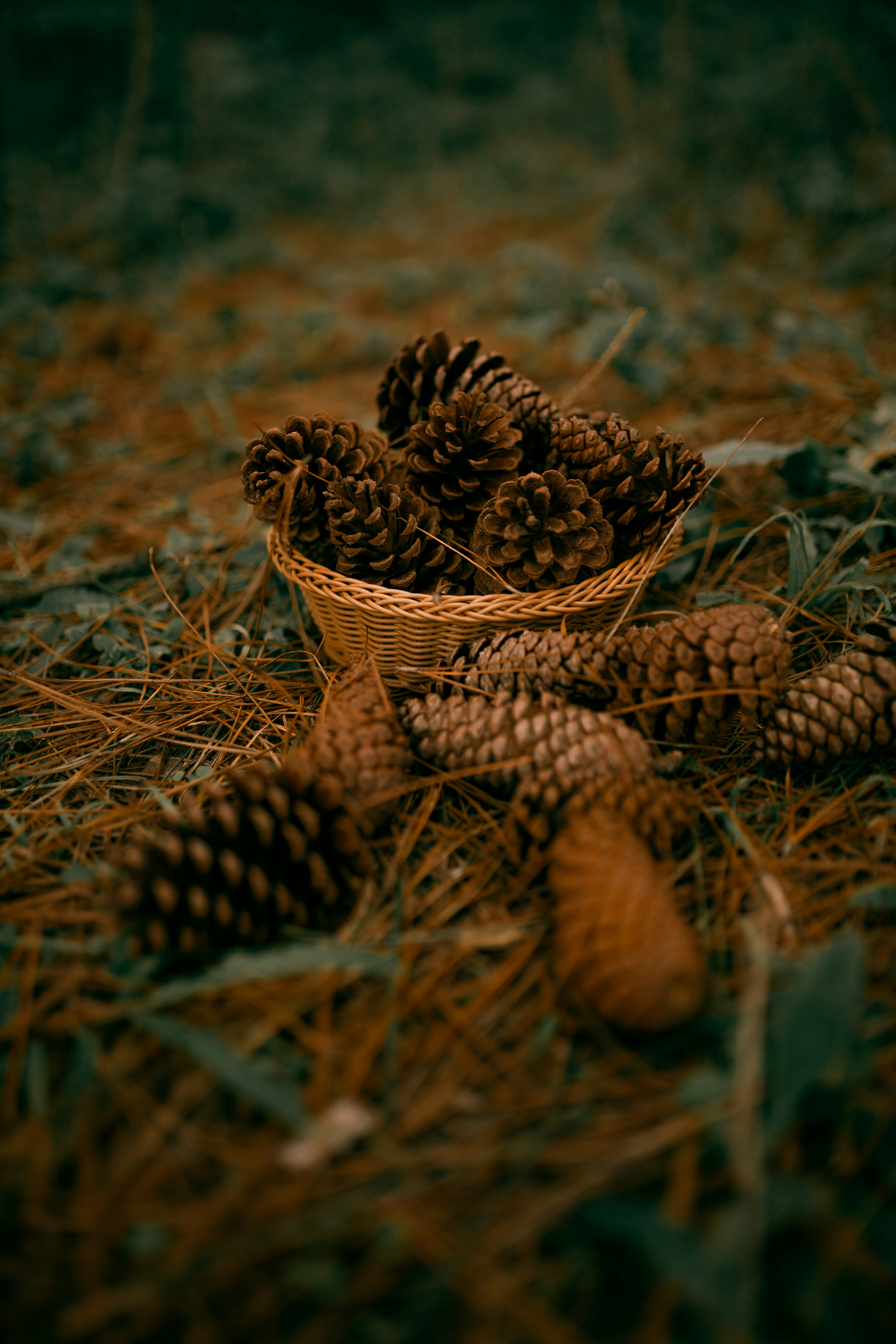 Photo by alexandermassph