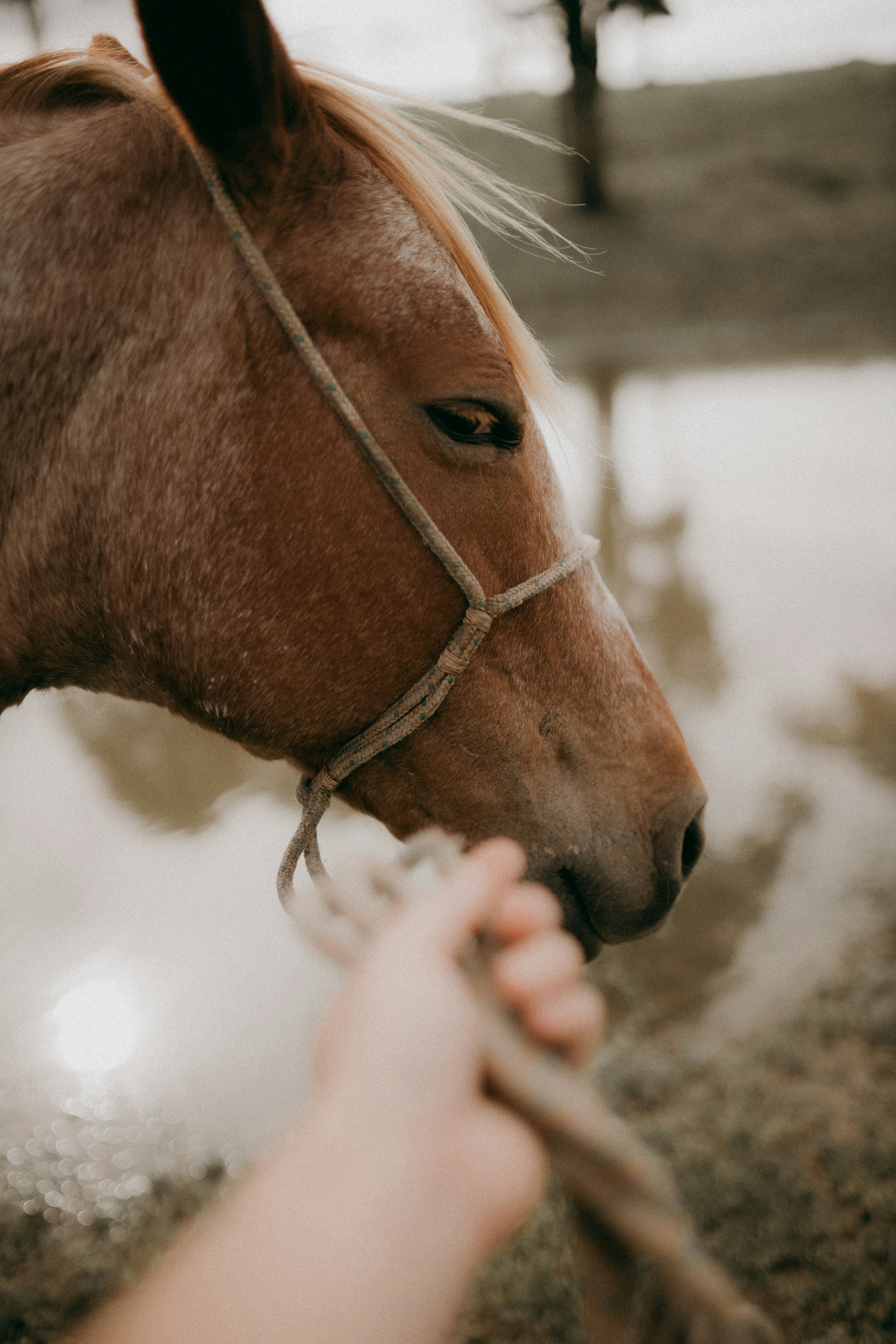 Photo by alexandermassph