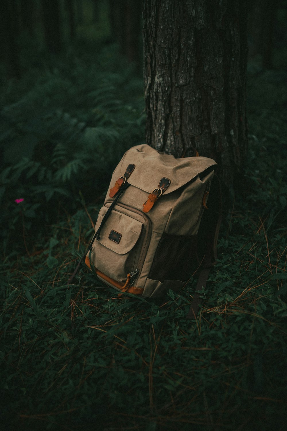 a backpack sitting in the grass next to a tree
