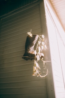 Chic ankle boots placed next to a potted plant.