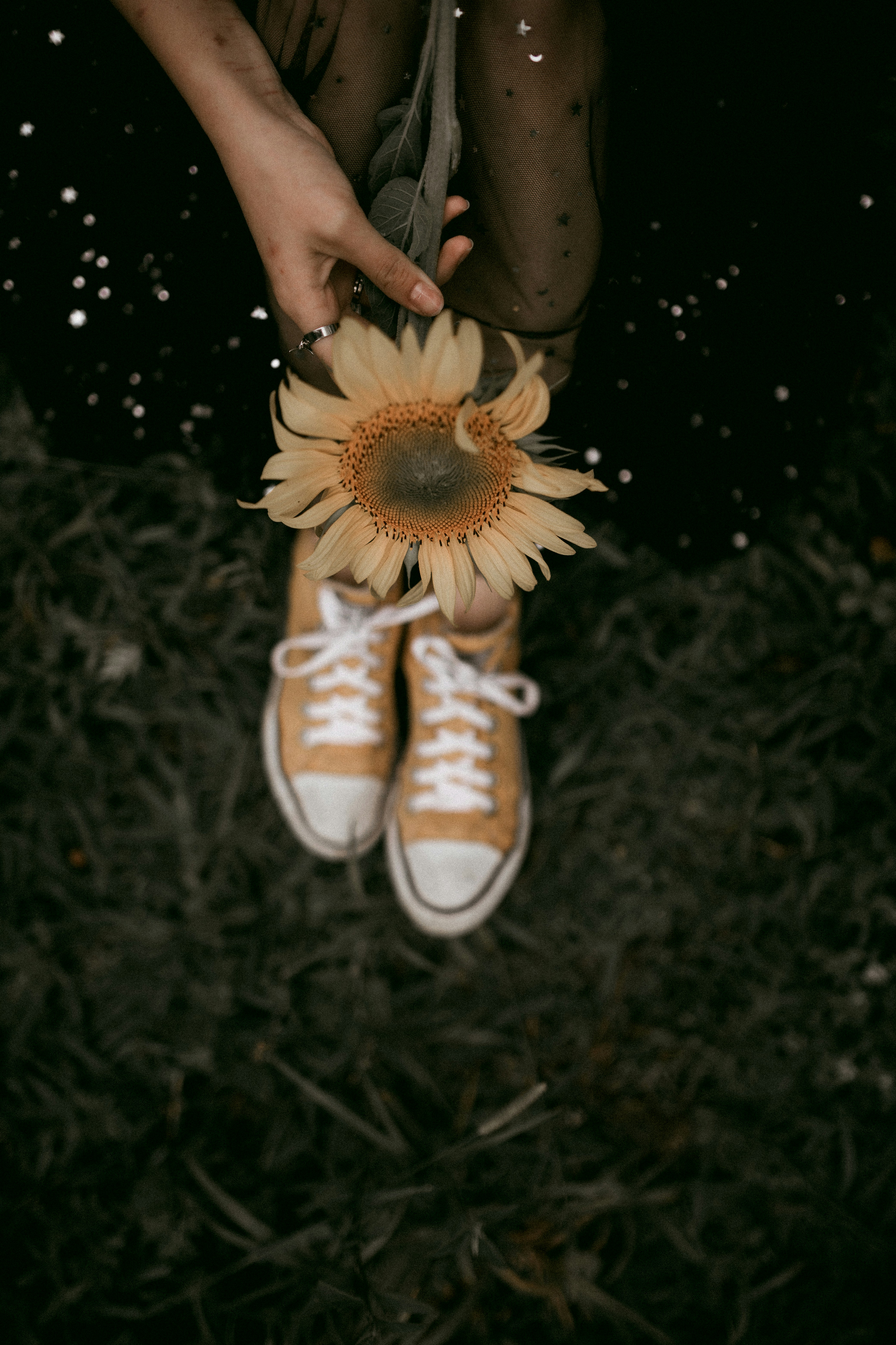 Photo by alexandermassph