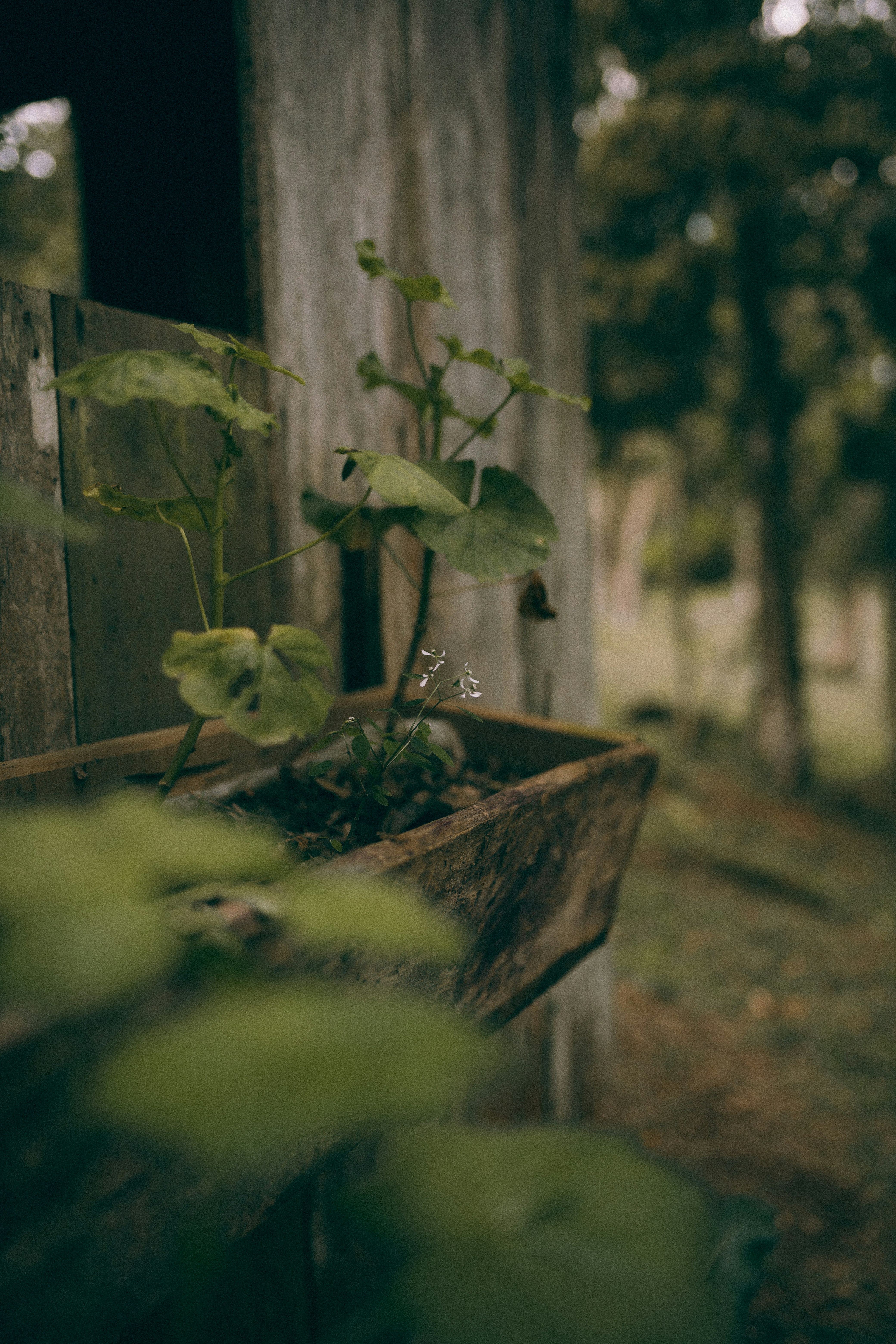 Photo by alexandermassph