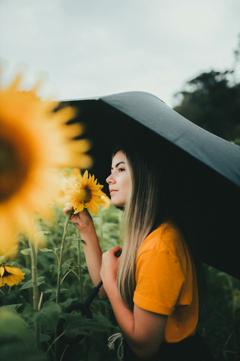 eine Frau steht in einem Sonnenblumenfeld und hält einen Regenschirm in der Hand