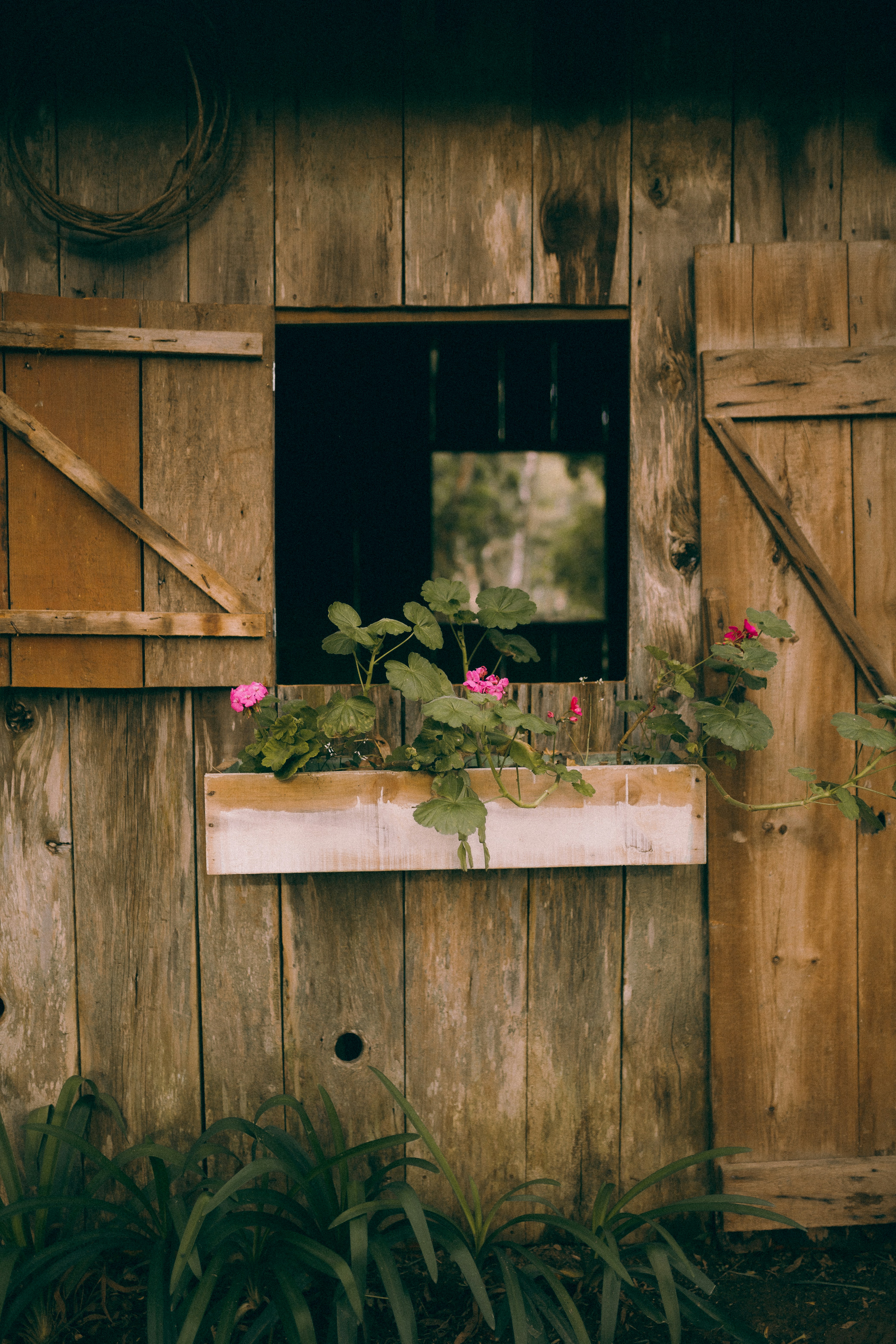 Photo by alexandermassph