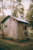 A wendy house used for storage, surrounded by lush greenery typical of Limpopo.