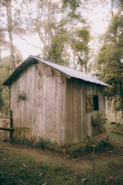 A small wooden shed nestled among tall pine trees with a stone pathway leading to its door.