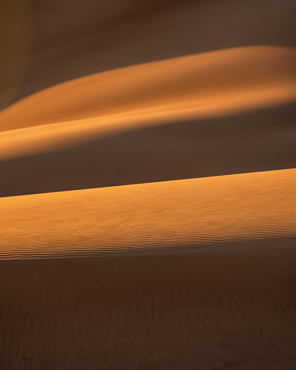 a lone bird standing in the middle of a desert