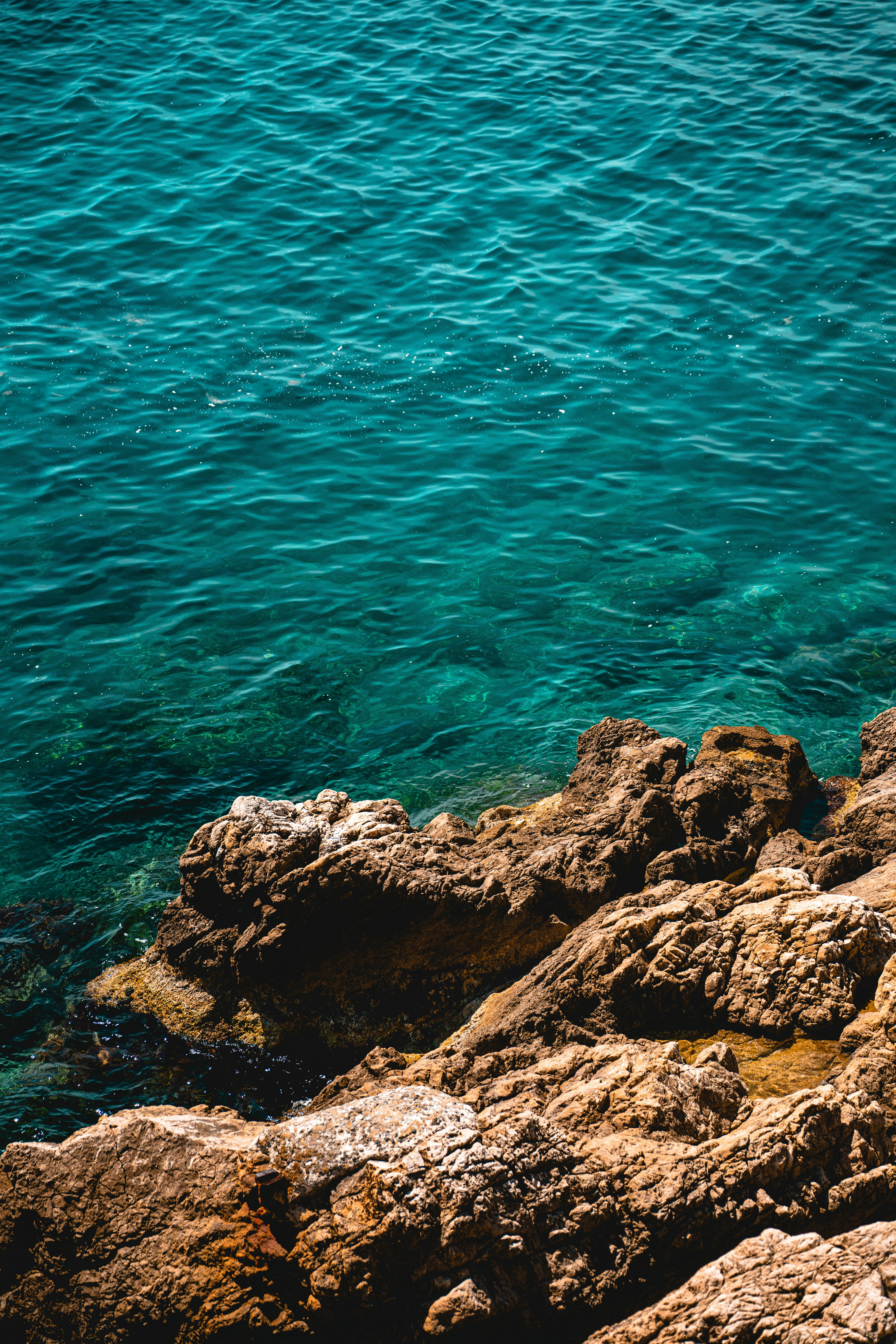 a person sitting on a rock next to the ocean