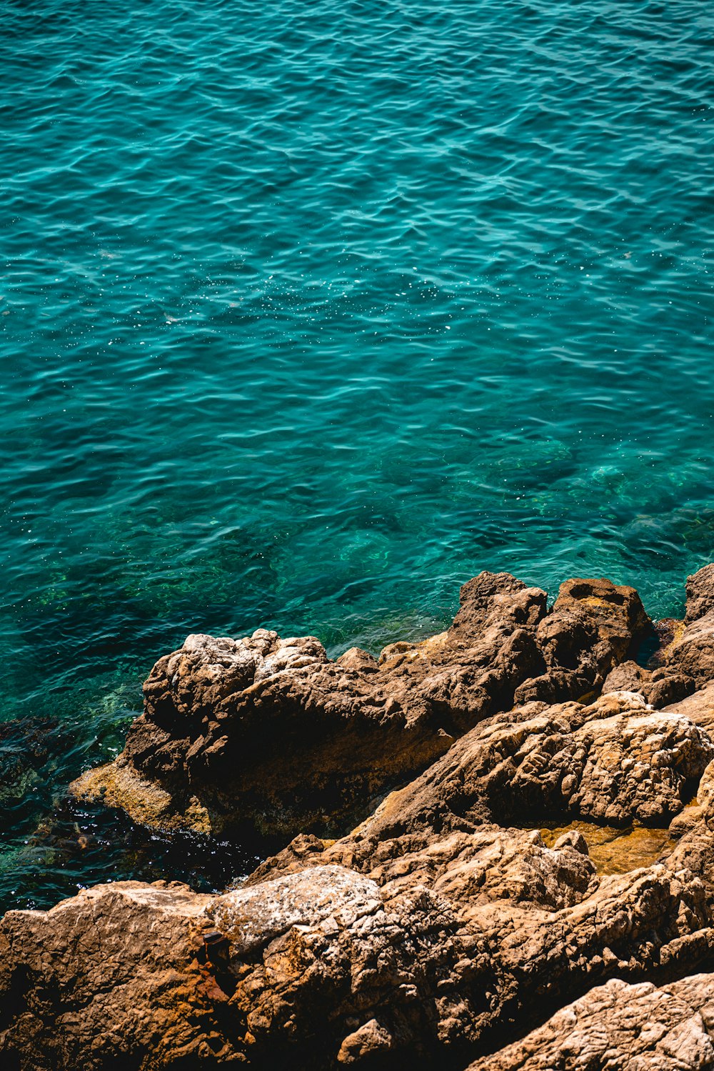 a person sitting on a rock next to the ocean