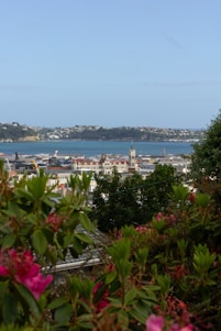 A picturesque landscape featuring a historic city skyline with nature in the foreground.