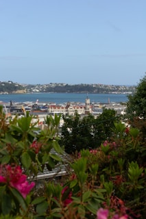 A scenic view of a city, representing the destinations made possible by visitor visas.