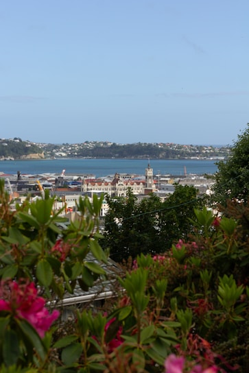 A picturesque landscape featuring a historic city skyline with nature in the foreground.