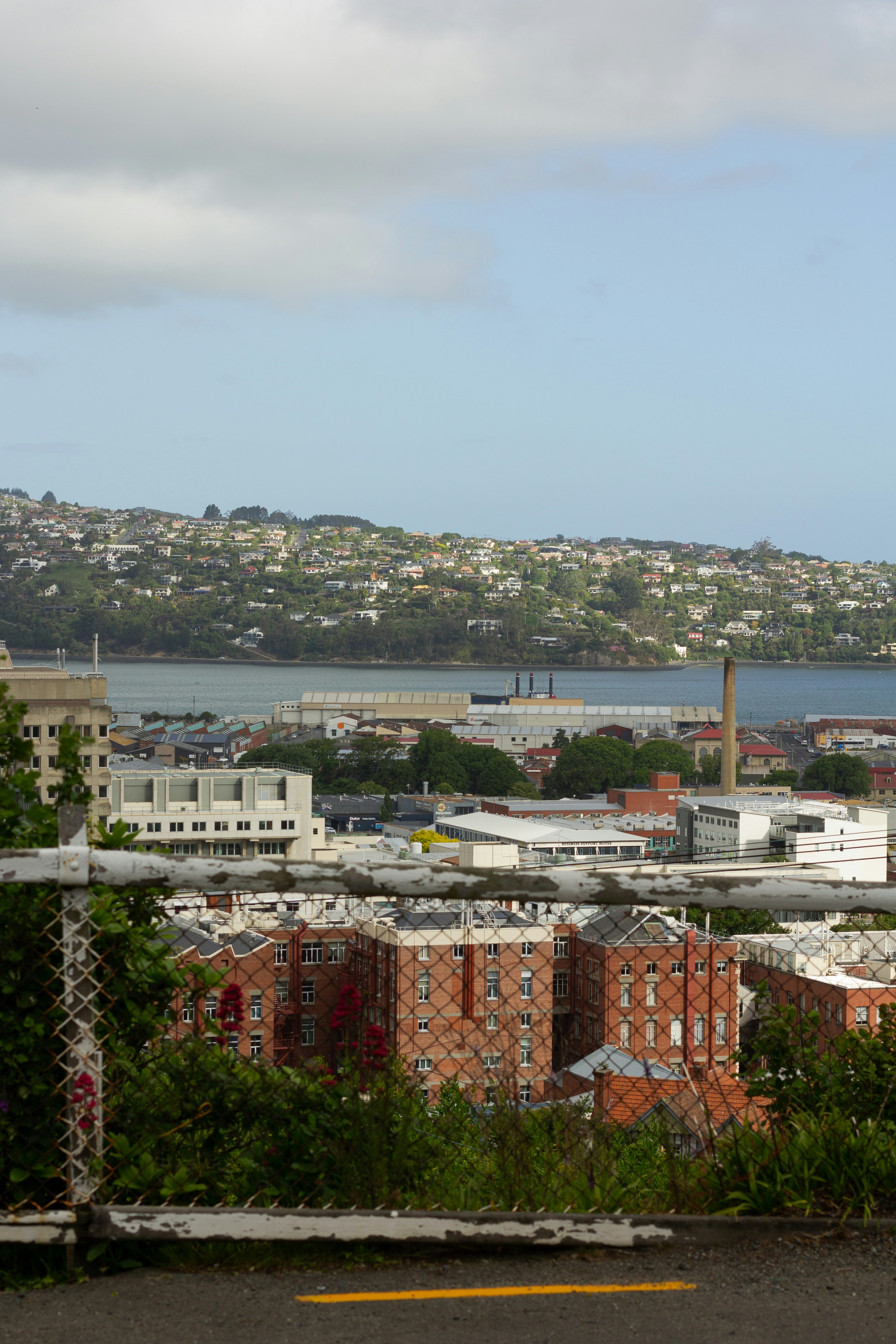 Containers in Dunedin, FL