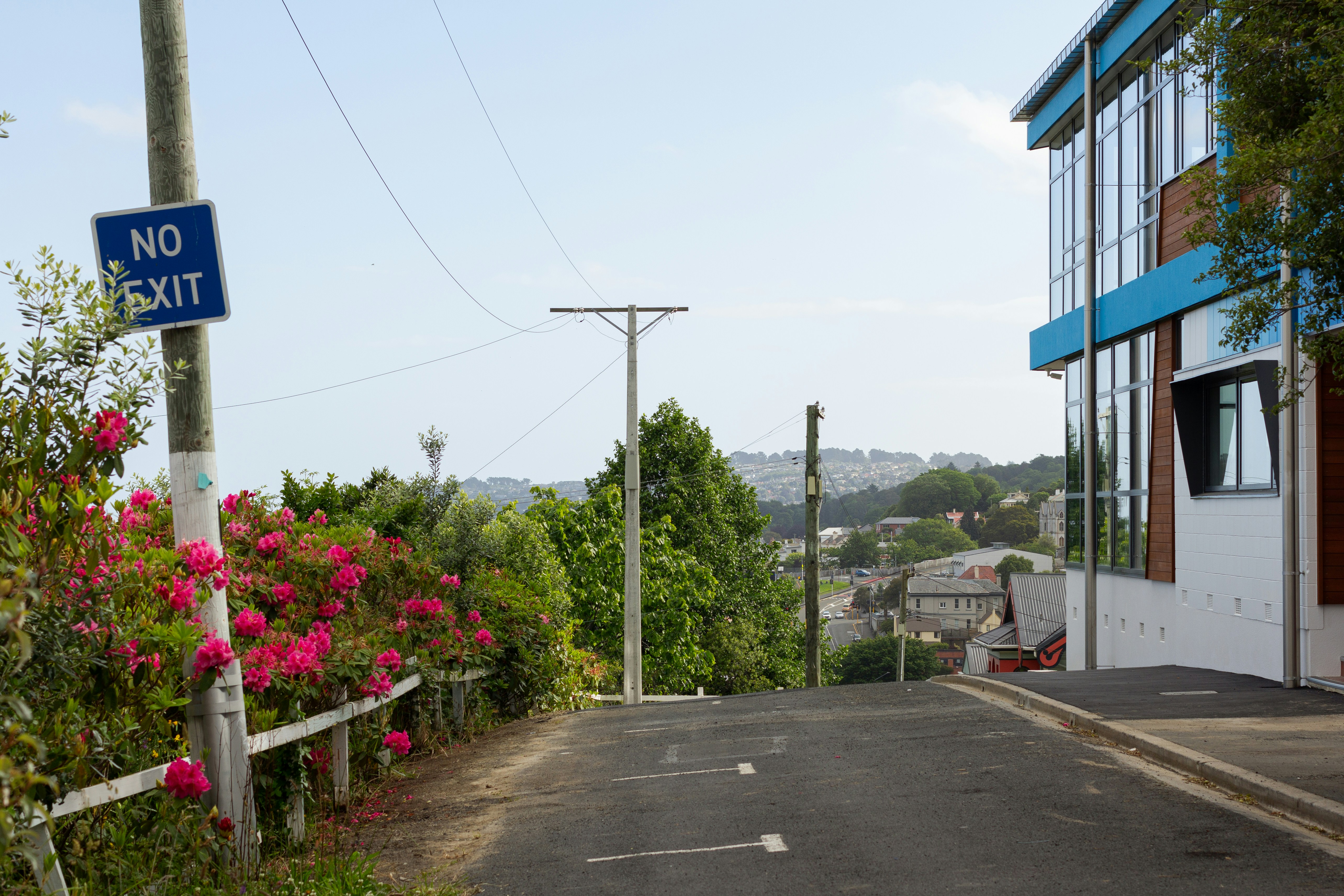 a no exit sign on the side of a road