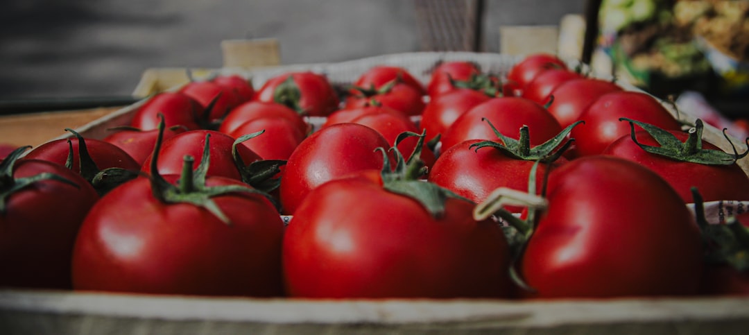 a bunch of red tomatoes sitting on a table