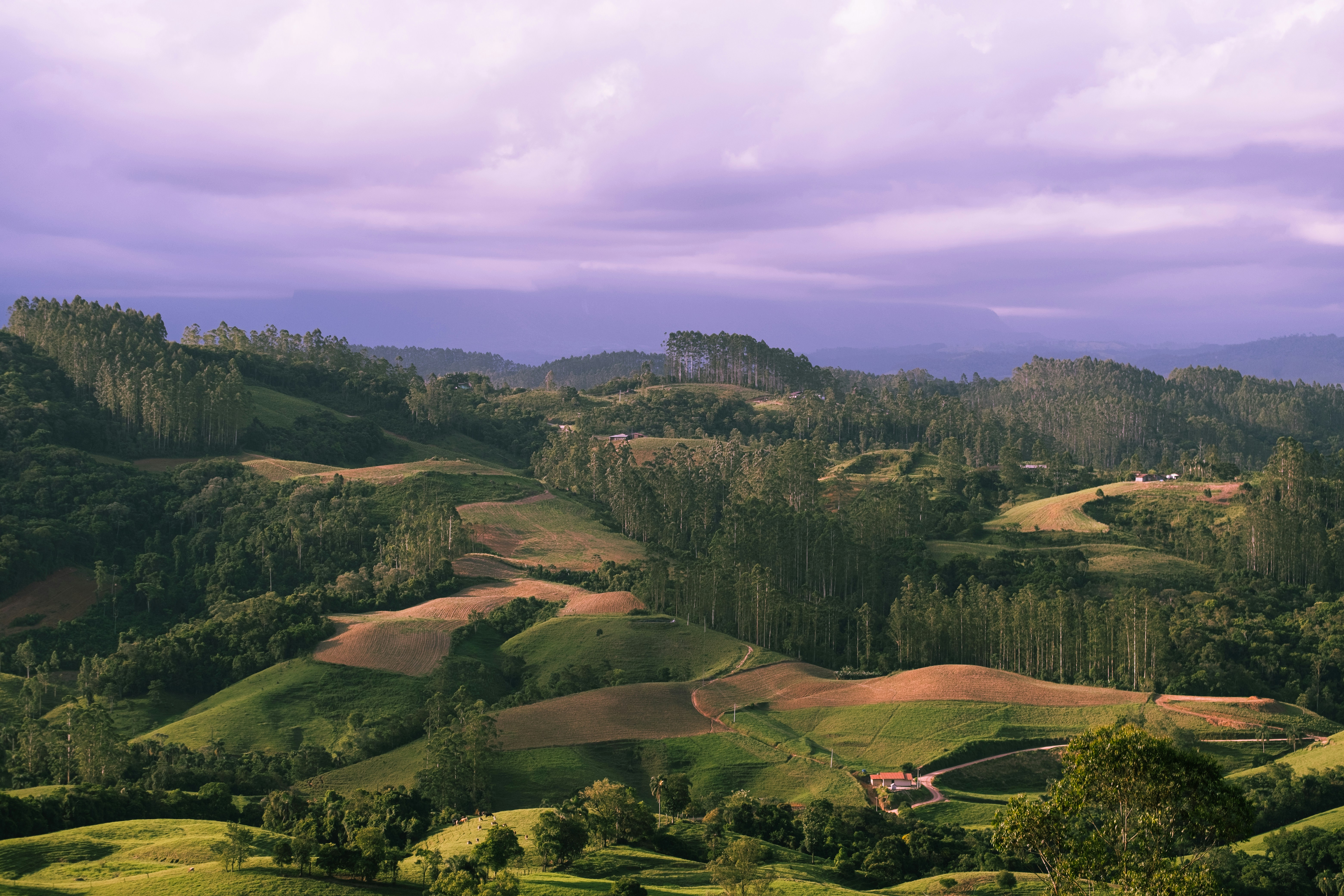 Image by Ivan Cheremisin via Unsplash