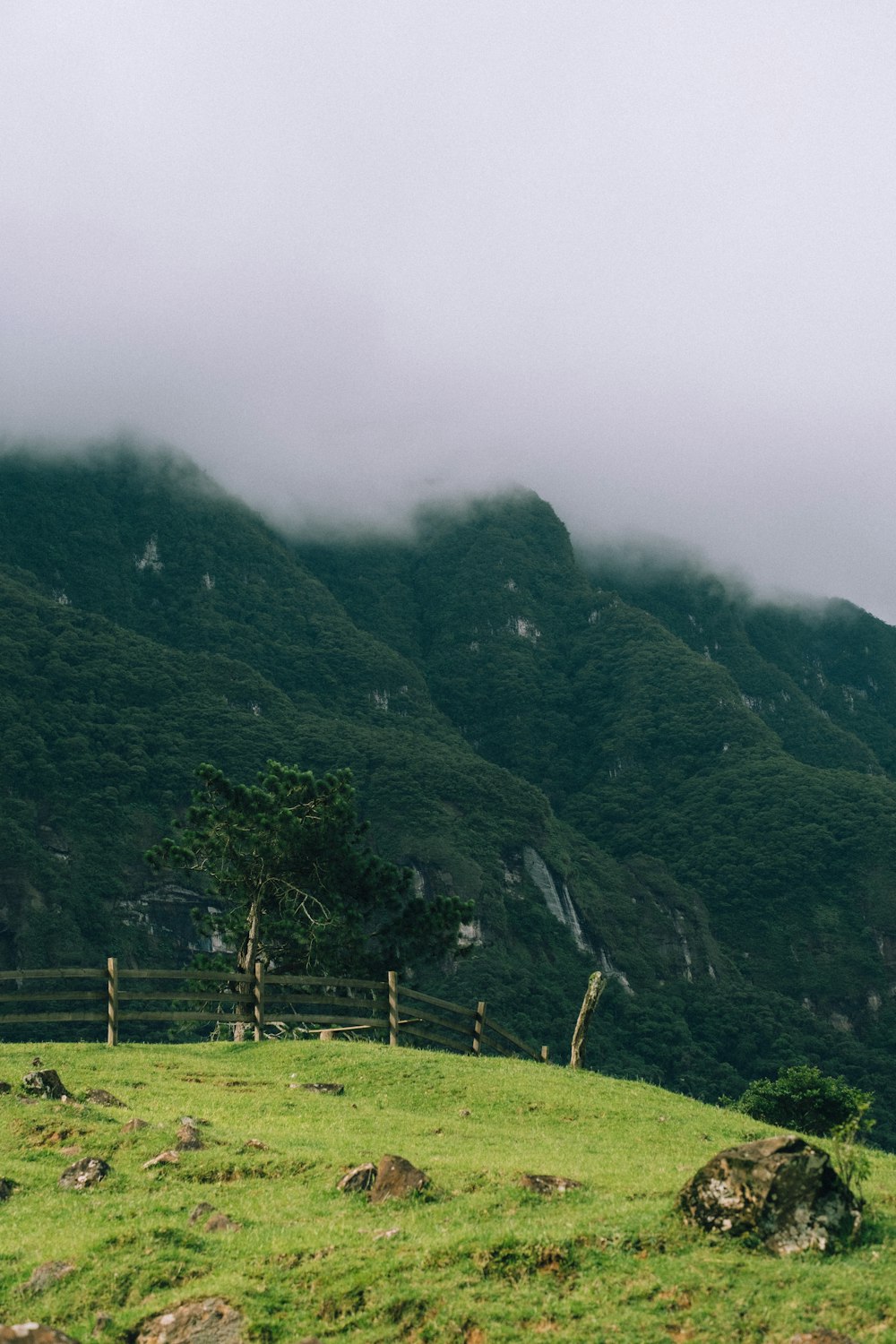 a couple of sheep standing on top of a lush green hillside