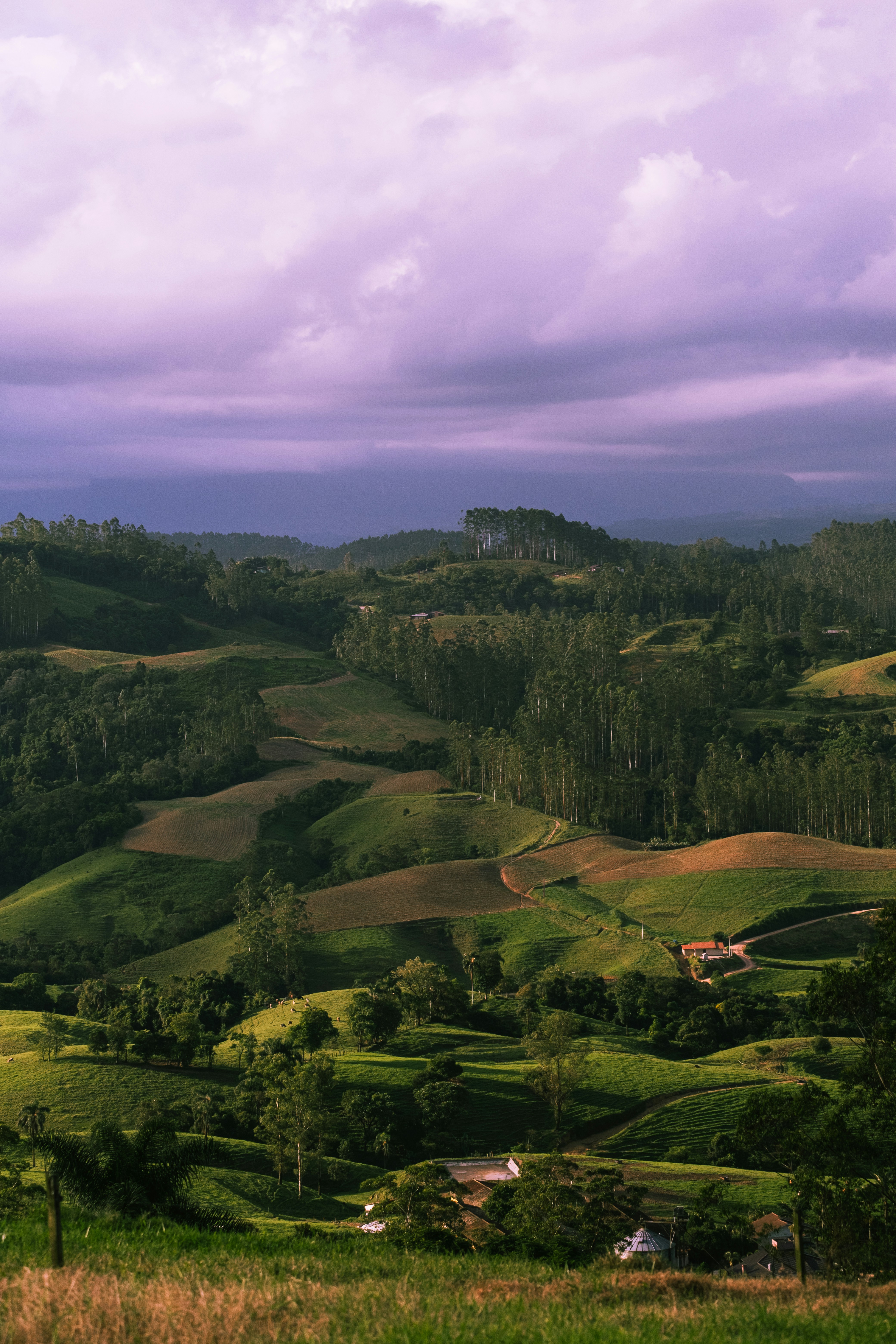 Photo by vanya_nichego