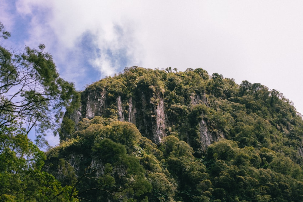 a large mountain with trees on the side of it