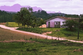 A rustic wooden house stands next to a dirt road that curves through green fields. Palm trees and other vegetation surround the house, and there are mountains in the background under a partly cloudy sky.