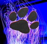 A collection of paw prints fading into a radiant rainbow sky