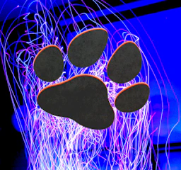 Animated paw prints floating gently across a black-and-white dreamy background.
