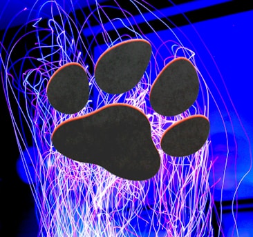 A vibrant illustration of a playful French bulldog surrounded by colorful, glowing paw prints.