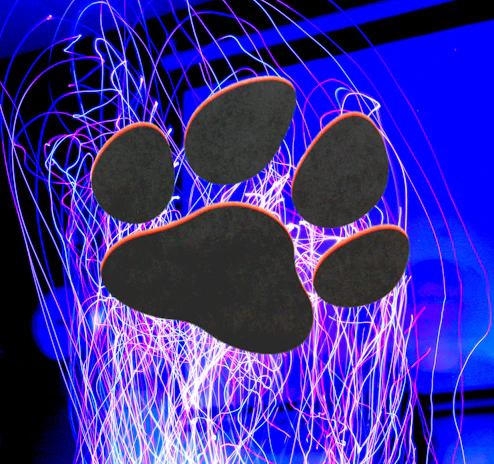 A soft gray fluffy paw print glowing gently on a dark background with tiny sparkling hearts.
