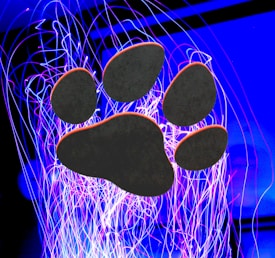 A large, dark paw print is centered against a vibrant backdrop of bright blue and purple swirling lights. The lights create an abstract pattern, evoking a sense of movement and energy.