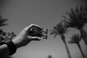 A clean, textless postcard design capturing a classic film scene in minimal lines.