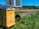 A wooden beehive is situated in a lush green area with tall grass, flowers, and plants. A large log lies on the ground nearby. In the background, a modern apartment building with multiple floors and balconies stands tall, with a clear blue sky above and distant mountainous scenery.
