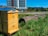 A wooden beehive is situated in a lush green area with tall grass, flowers, and plants. A large log lies on the ground nearby. In the background, a modern apartment building with multiple floors and balconies stands tall, with a clear blue sky above and distant mountainous scenery.