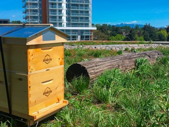 A wooden beehive is situated in a lush green area with tall grass, flowers, and plants. A large log lies on the ground nearby. In the background, a modern apartment building with multiple floors and balconies stands tall, with a clear blue sky above and distant mountainous scenery.