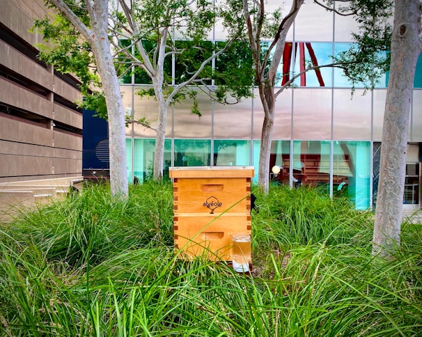 A wooden beehive prominently sits amidst tall green grass, surrounded by several trees with light gray trunks. The background reveals a modern building with large reflective windows that partially mirror the natural setting.