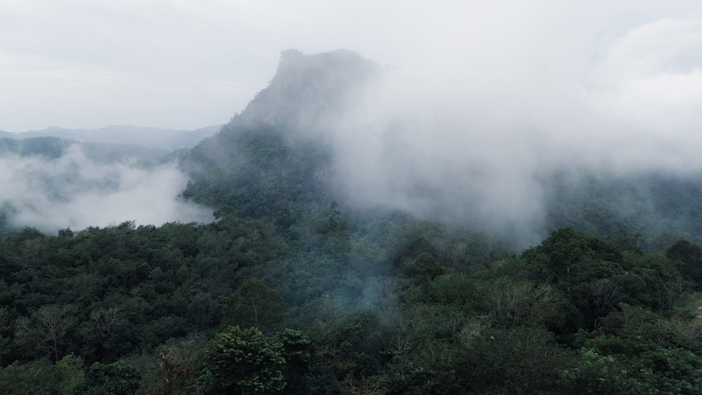 a mountain covered in fog and low lying clouds