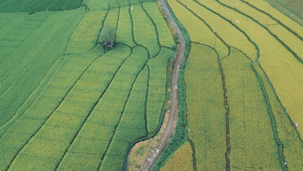 an aerial view of a road running through a green field