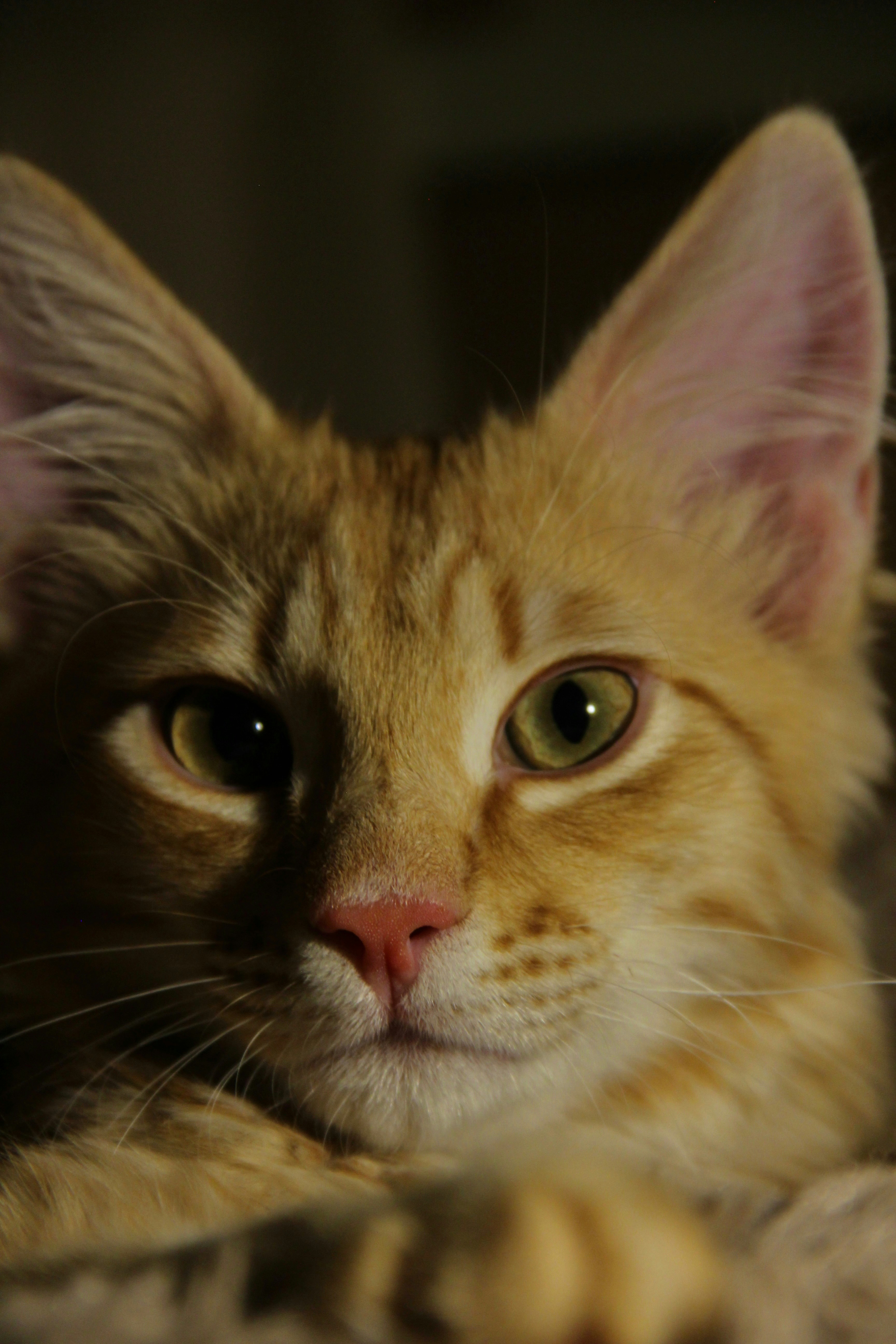 Photo by nepifannova