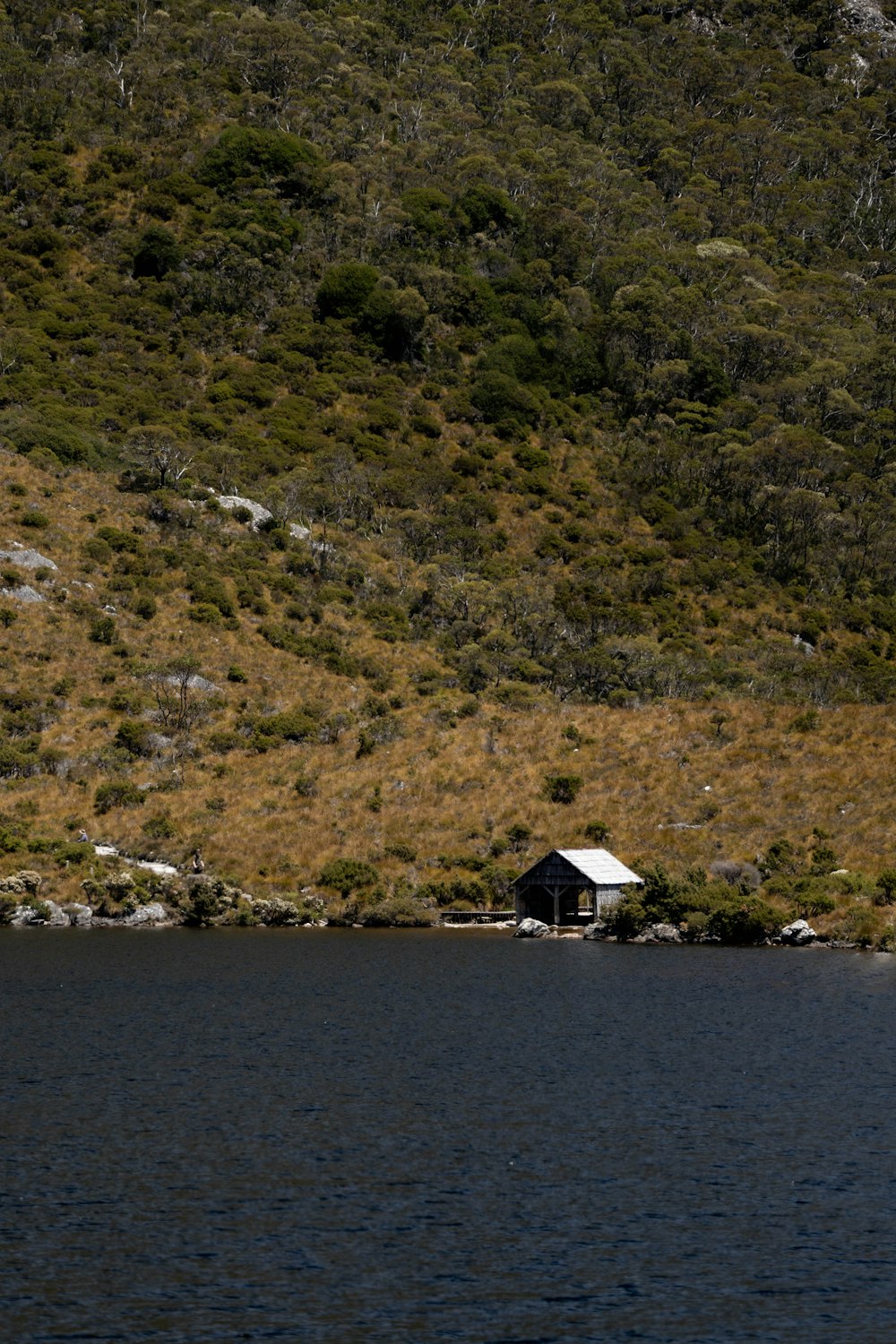 a house on a small island in the middle of a lake