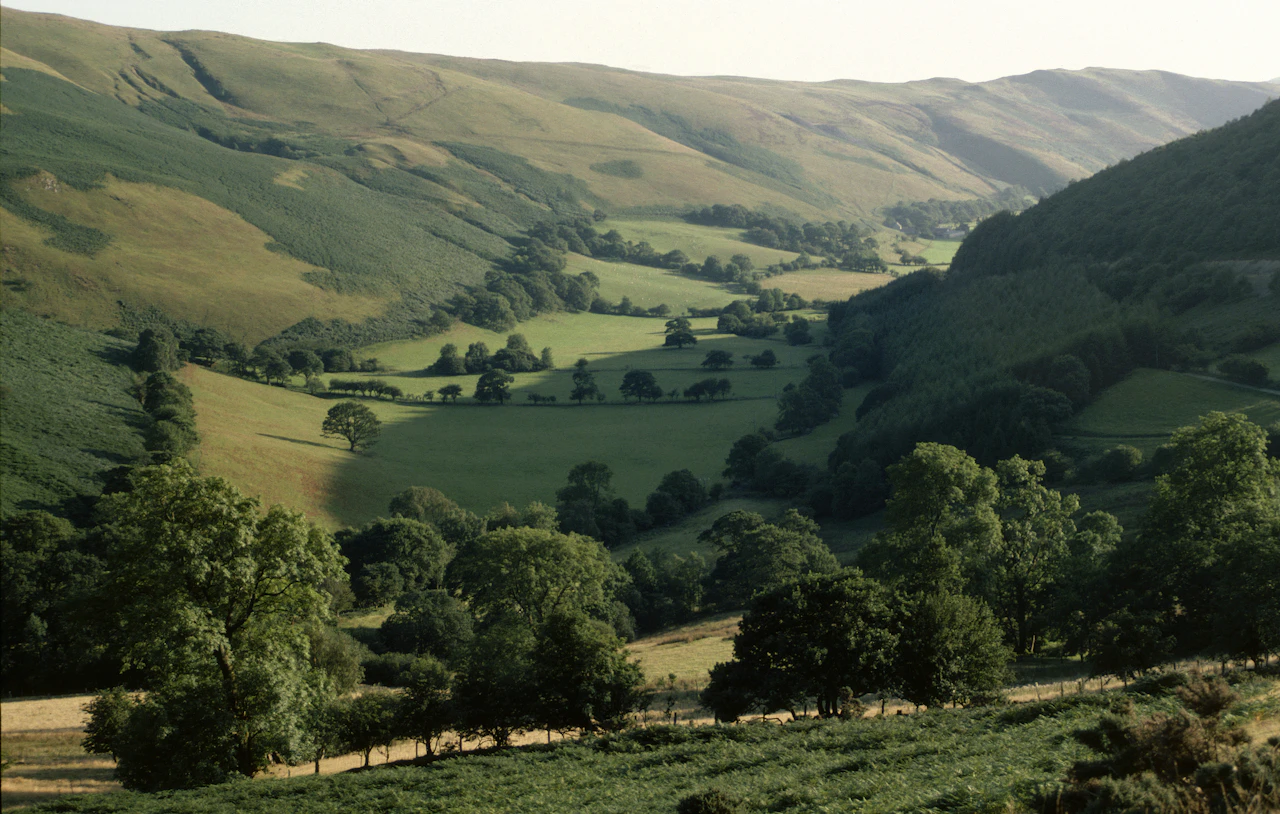 A lush green valley surrounded by lush green hills