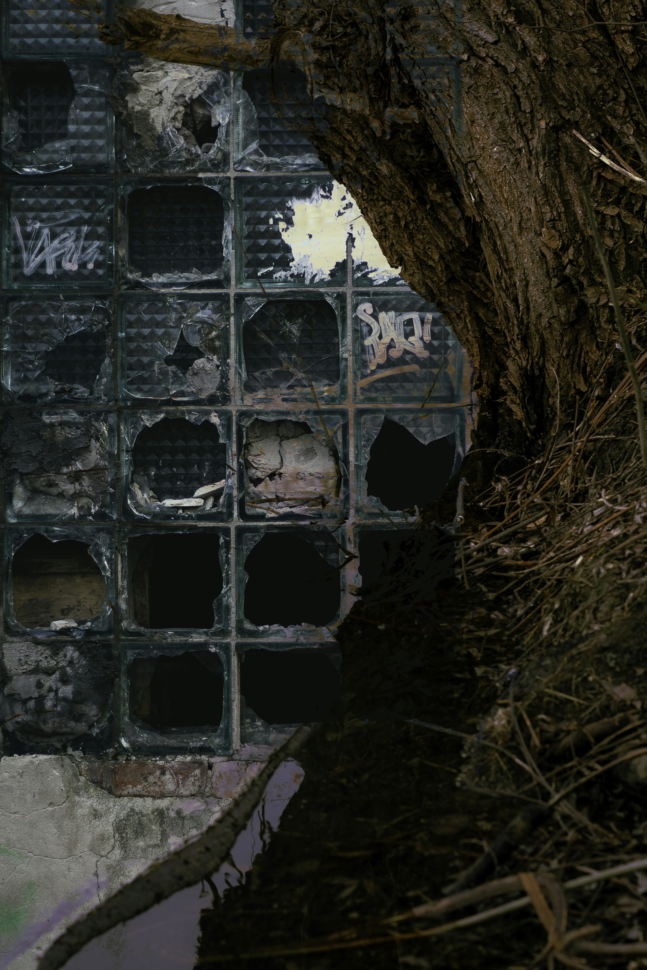 photo-1702912962481-51f49edba5ea?ixid=M3wxMjA3fDB8MXxzZWFyY2h8MTh8fDglMjB1ayUyMGhhbXN0ZXIlMjBjYWdlcyUyMCUyNiUyMGhvbWVzfGVufDB8fHx8MTc2NjM0MDk3M3ww\u0026ixlib=rb-4.1.0